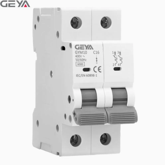 GEYA GYM10-6kA-2P in Pakistan - 20A thumbnail 3