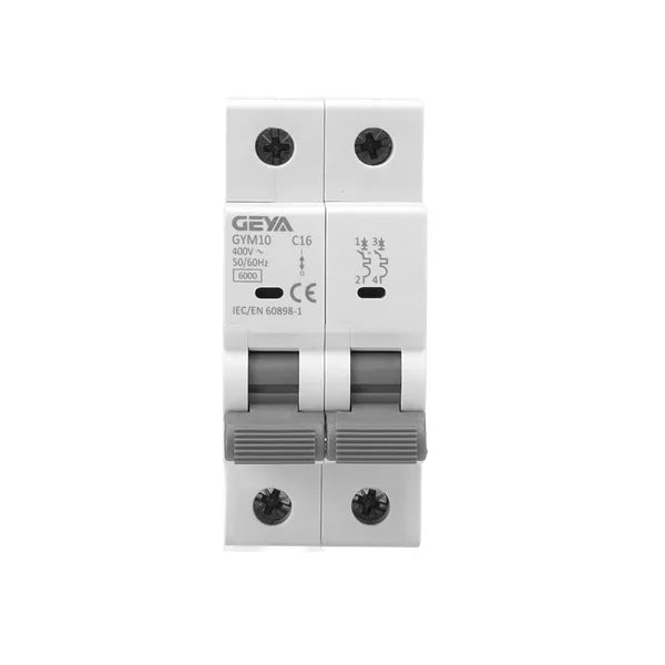 GEYA GYM10-6kA-2P in Pakistan - 32A