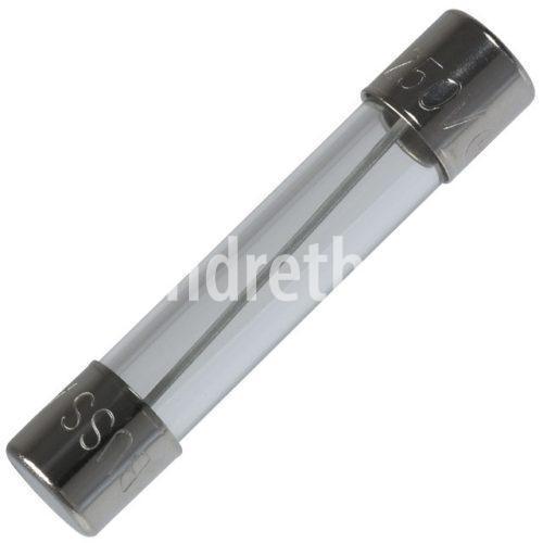 Glass Fuse 100PCS