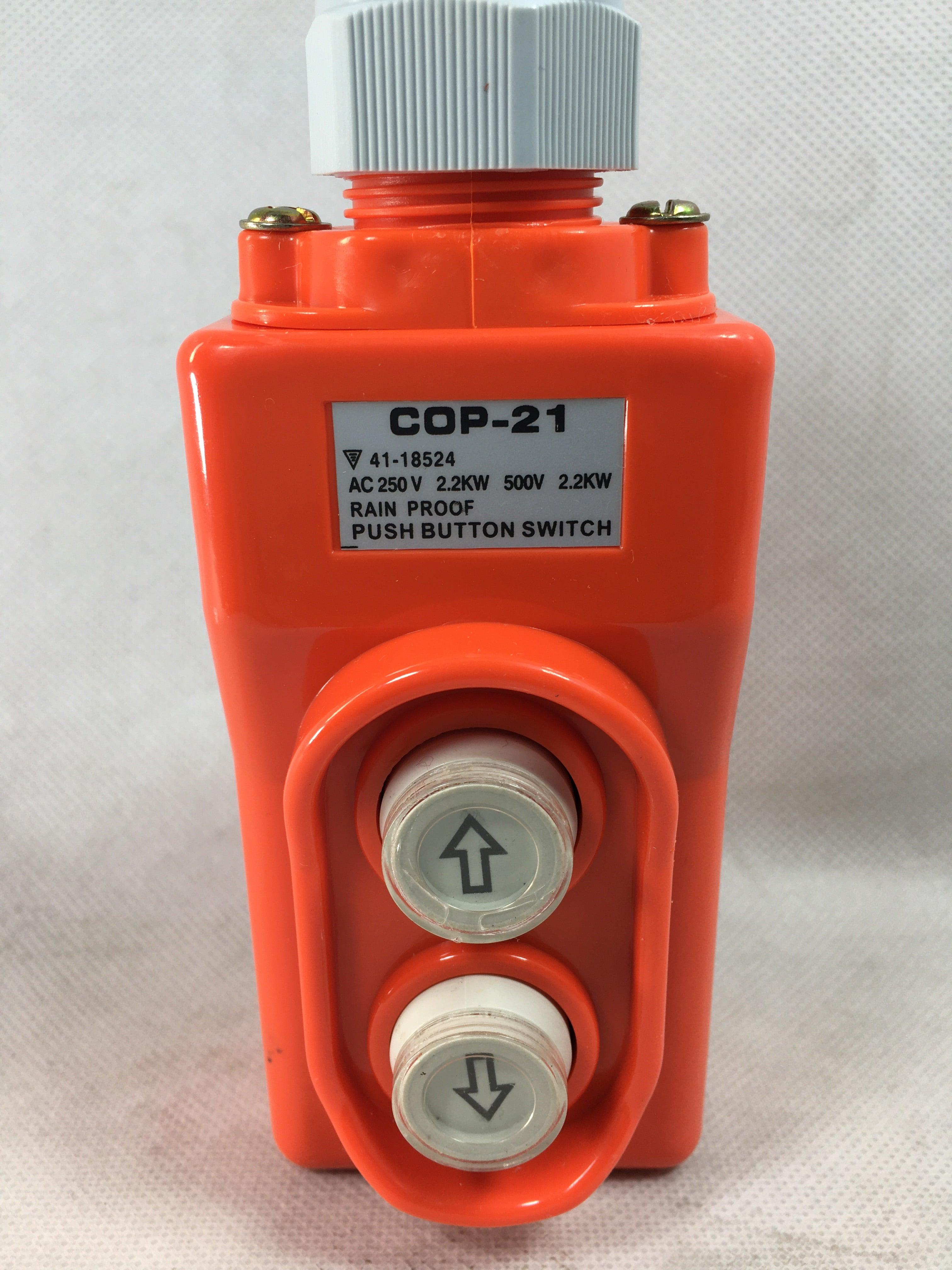 COP-21 AC250V UP-DOWN Two Push Button Crane Hoist Switch Rainproof in Pakistan